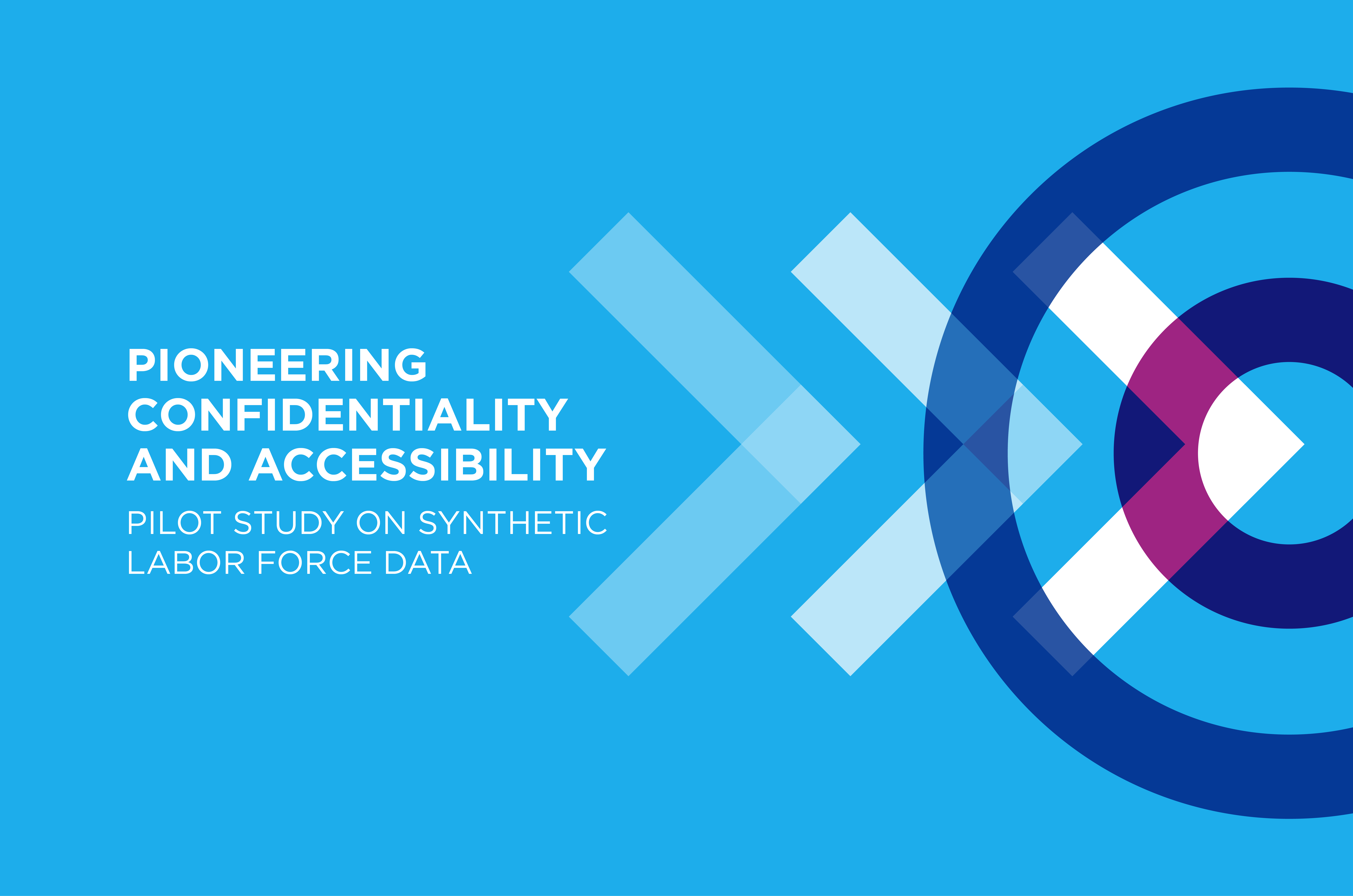 Pioneering Confidentiality and Accessibility: Pilot Study on Synthetic Labour Force Data
